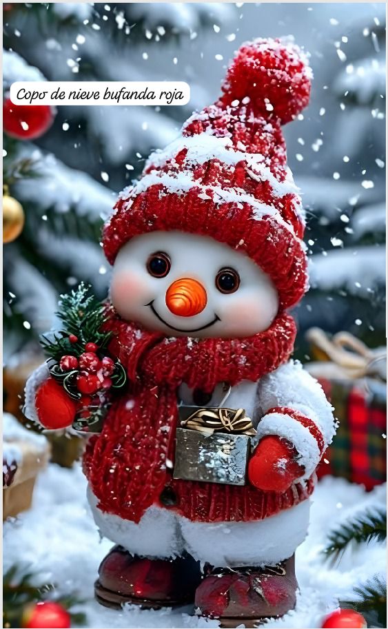 Vista 5 de Fundas Navideñas Para Puertas